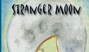 Stranger Moon by Heather Zydek